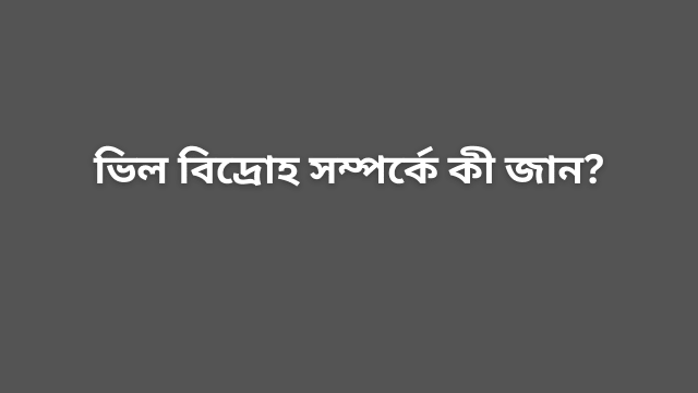 ভিল বিদ্রোহ সম্পর্কে কী জান?