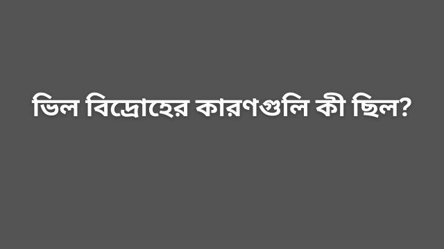 ভিল বিদ্রোহের কারণগুলি কী ছিল?
