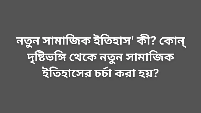 নতুন সামাজিক ইতিহাস' কী? কোন্ দৃষ্টিভঙ্গি থেকে নতুন সামাজিক ইতিহাসের চর্চা করা হয়?