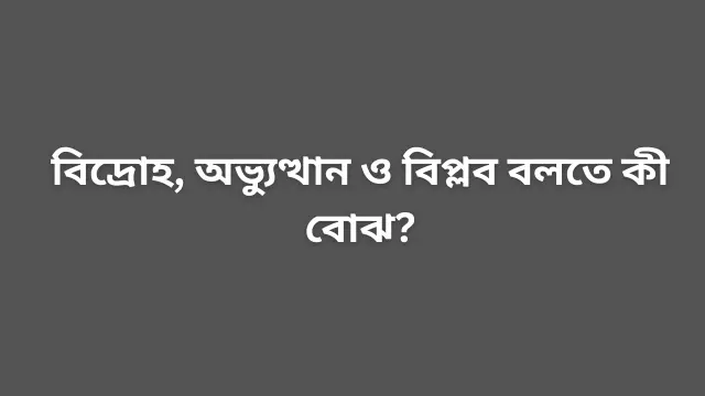 বিদ্রোহ, অভ্যুত্থান ও বিপ্লব বলতে কী বোঝ?