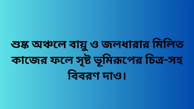 শুষ্ক অঞ্চলে বায়ু ও জলধারার মিলিত কাজের ফলে সৃষ্ট ভূমিরূপের চিত্র-সহ বিবরণ দাও।