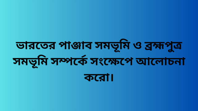 ভারতের পাঞ্জাব সমভূমি ও ব্রহ্মপুত্র সমভূমি সম্পর্কে সংক্ষেপে আলোচনা করো।