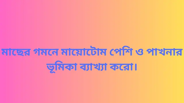 মাছের গমনে মায়োটোম পেশি ও পাখনার ভূমিকা ব্যাখ্যা করো।