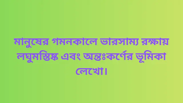 মানুষের গমনকালে ভারসাম্য রক্ষায় লঘুমস্তিষ্ক এবং অন্তঃকর্ণের ভূমিকা লেখো।