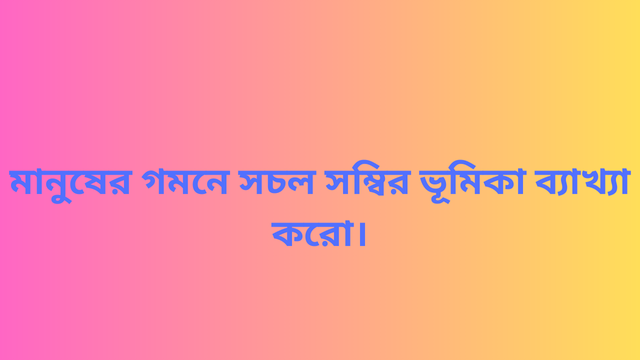 মানুষের গমনে সচল সম্বির ভূমিকা ব্যাখ্যা করো।