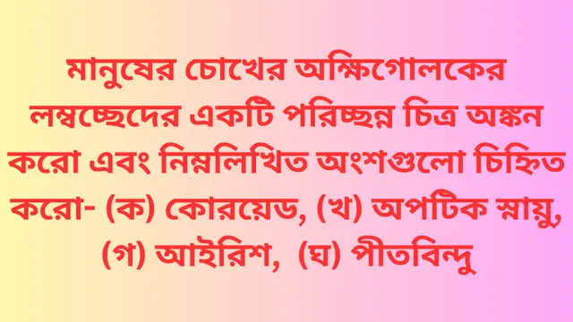 মানুষের চোখের অক্ষিগোলকের লম্বচ্ছেদের একটি পরিচ্ছন্ন চিত্র অঙ্কন করো এবং নিম্নলিখিত অংশগুলো চিহ্নিত করো- (ক) কোরয়েড, (খ) অপটিক স্নায়ু, (গ) আইরিশ,  (ঘ) পীতবিন্দু