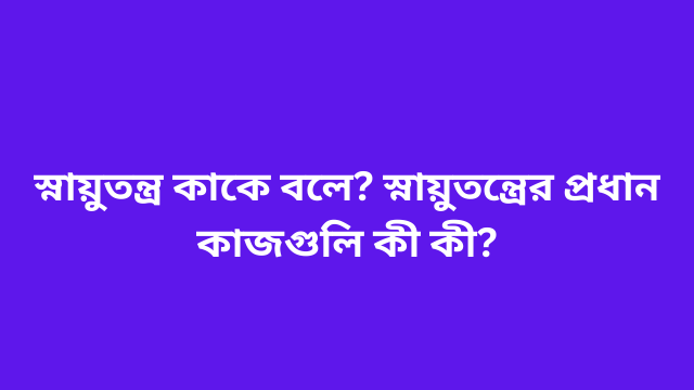 স্নায়ুতন্ত্র কাকে বলে? স্নায়ুতন্ত্রের প্রধান কাজগুলি কী কী?