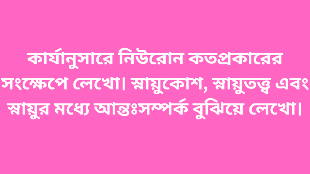 কার্যানুসারে নিউরোন কতপ্রকারের সংক্ষেপে লেখো। স্নায়ুকোশ, স্নায়ুতত্ত্ব এবং স্নায়ুর মধ্যে আন্তঃসম্পর্ক বুঝিয়ে লেখো।