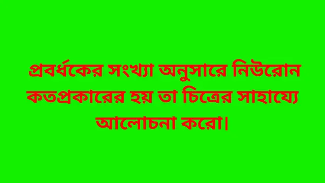 প্রবর্ধকের সংখ্যা অনুসারে নিউরোন কতপ্রকারের হয় তা চিত্রের সাহায্যে আলোচনা করো।