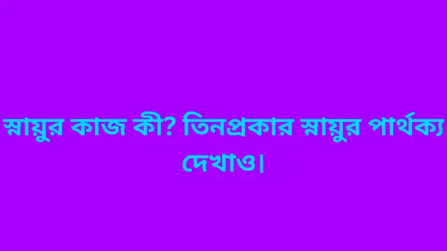 স্নায়ুর কাজ কী? তিনপ্রকার স্নায়ুর পার্থক্য দেখাও।