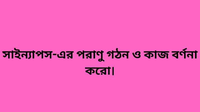সাইন্যাপস-এর পরাণু গঠন ও কাজ বর্ণনা করো।
