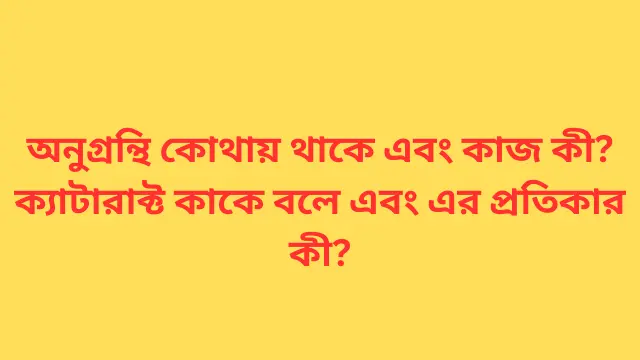 অনুগ্রন্থি কোথায় থাকে এবং কাজ কী? ক্যাটারাক্ট কাকে বলে এবং এর প্রতিকার কী?