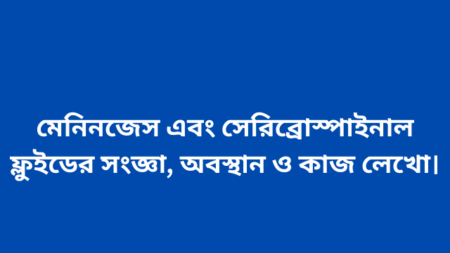 মেনিনজেস এবং সেরিব্রোস্পাইনাল ফ্লুইডের সংজ্ঞা, অবস্থান ও কাজ লেখো।