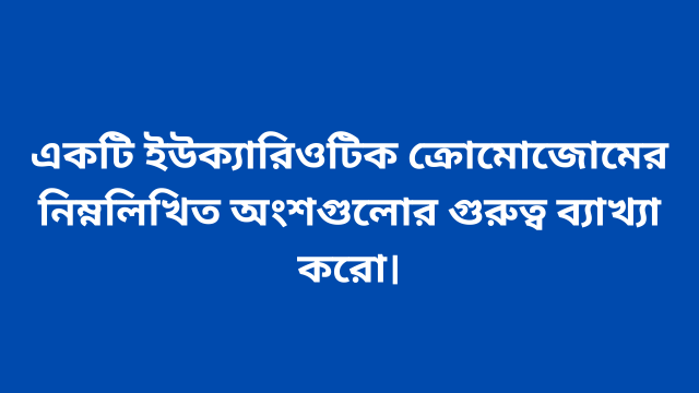 একটি ইউক্যারিওটিক ক্রোমোজোমের নিম্নলিখিত অংশগুলোর গুরুত্ব ব্যাখ্যা করো।