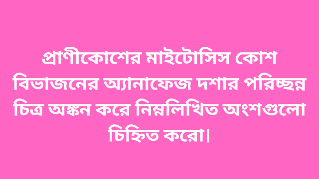 প্রাণীকোশের মাইটোসিস কোশ বিভাজনের অ্যানাফেজ দশার পরিচ্ছন্ন চিত্র অঙ্কন করে নিম্নলিখিত অংশগুলো চিহ্নিত করো।