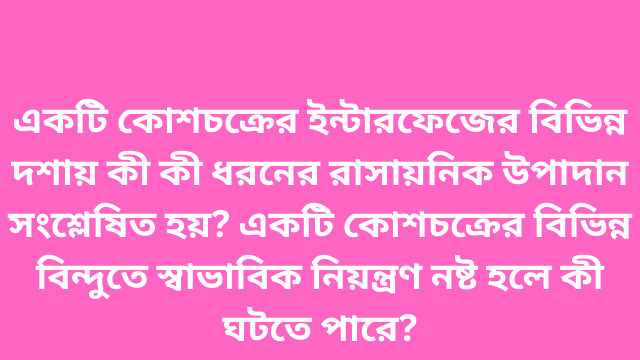 একটি কোশচক্রের ইন্টারফেজের বিভিন্ন দশায় কী কী ধরনের রাসায়নিক উপাদান সংশ্লেষিত হয়? একটি কোশচক্রের বিভিন্ন বিন্দুতে স্বাভাবিক নিয়ন্ত্রণ নষ্ট হলে কী ঘটতে পারে?
