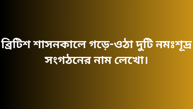 ব্রিটিশ শাসনকালে গড়ে-ওঠা দুটি নমঃশূদ্র সংগঠনের নাম লেখো।
