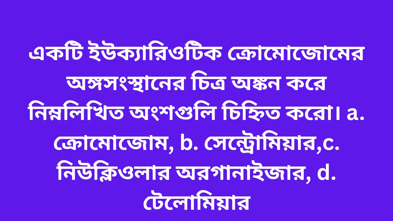 একটি ইউক্যারিওটিক ক্রোমোজোমের অঙ্গসংস্থানের চিত্র অঙ্কন করে নিম্নলিখিত অংশগুলি চিহ্নিত করো। a. ক্রোমোজোম, b. সেন্ট্রোমিয়ার,c. নিউক্লিওলার অরগানাইজার, d. টেলোমিয়ার