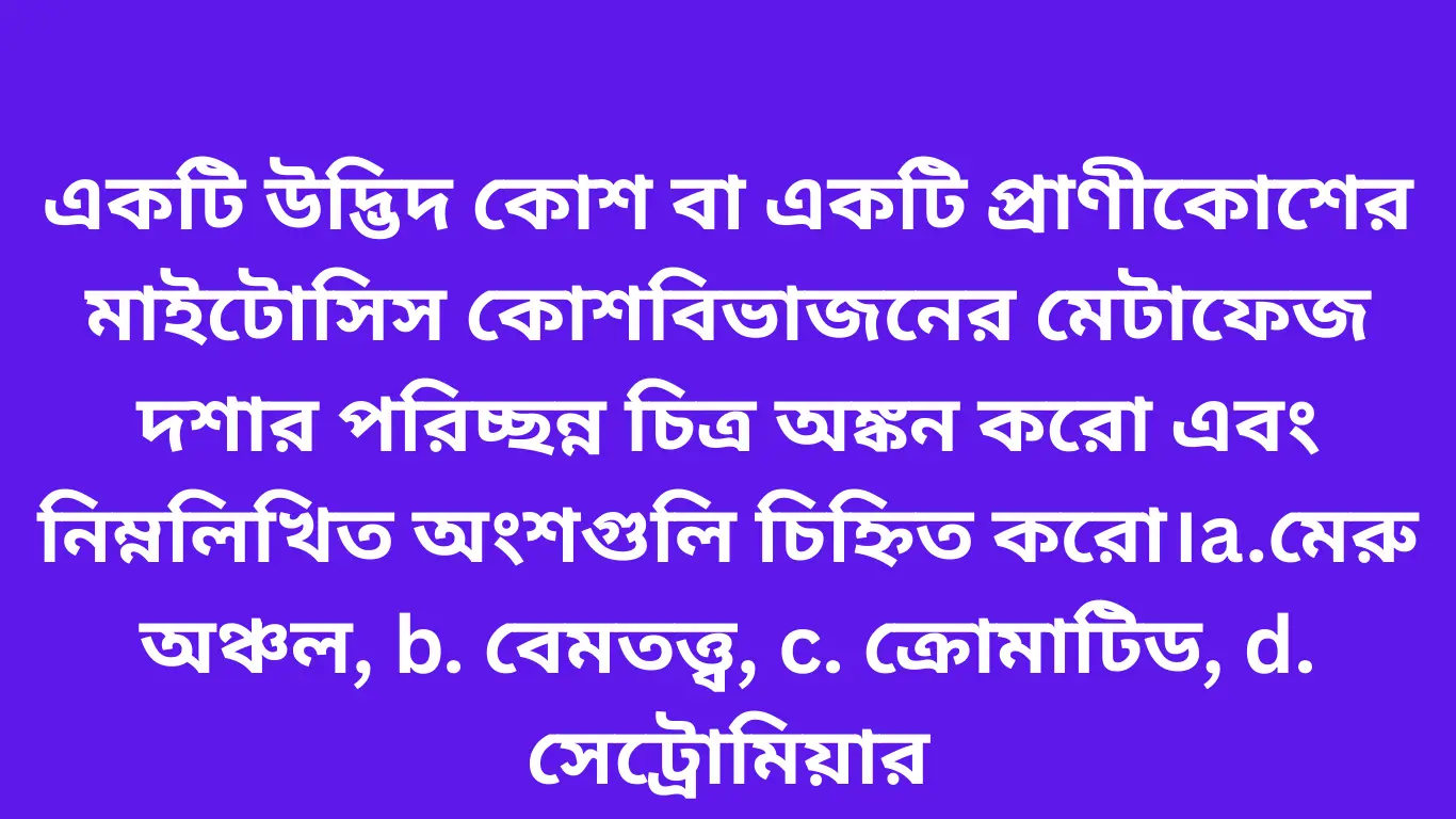 একটি উদ্ভিদ কোশ বা একটি প্রাণীকোশের মাইটোসিস কোশবিভাজনের মেটাফেজ দশার পরিচ্ছন্ন চিত্র অঙ্কন করো এবং নিম্নলিখিত অংশগুলি চিহ্নিত করো।a.মেরু অঞ্চল, b. বেমতত্ত্ব, c. ক্রোমাটিড, d. সেট্রোমিয়ার