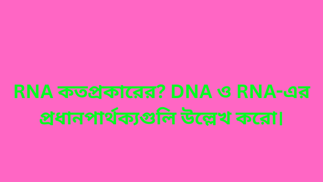 RNA কত প্রকারের? DNA ও RNA-এর প্রধান পার্থক্যগুলি উল্লেখ করো।
