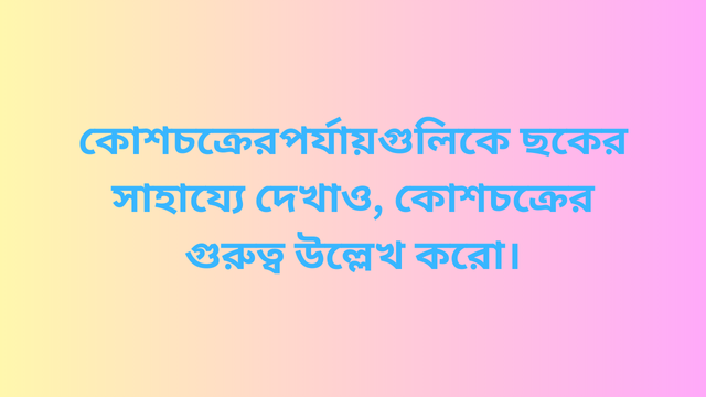 কোশচক্রের পর্যায়গুলিকে ছকের সাহায্যে দেখাও, কোশচক্রের গুরুত্ব উল্লেখ করো।