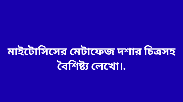মাইটোসিসের মেটাফেজ দশার চিত্রসহ বৈশিষ্ট্য লেখো।