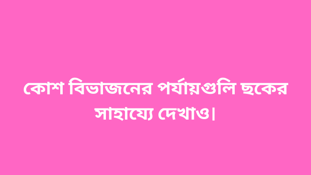 কোশ বিভাজনের পর্যায়গুলি ছকের সাহায্যে দেখাও।